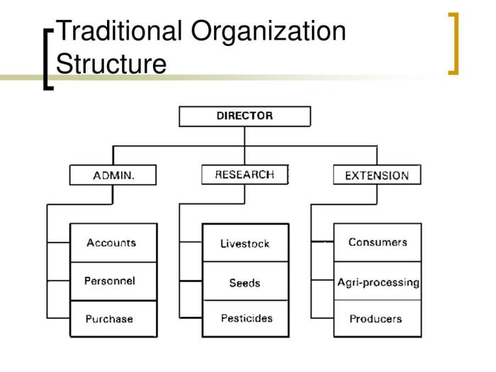 Contoh desain organisasi tradisional